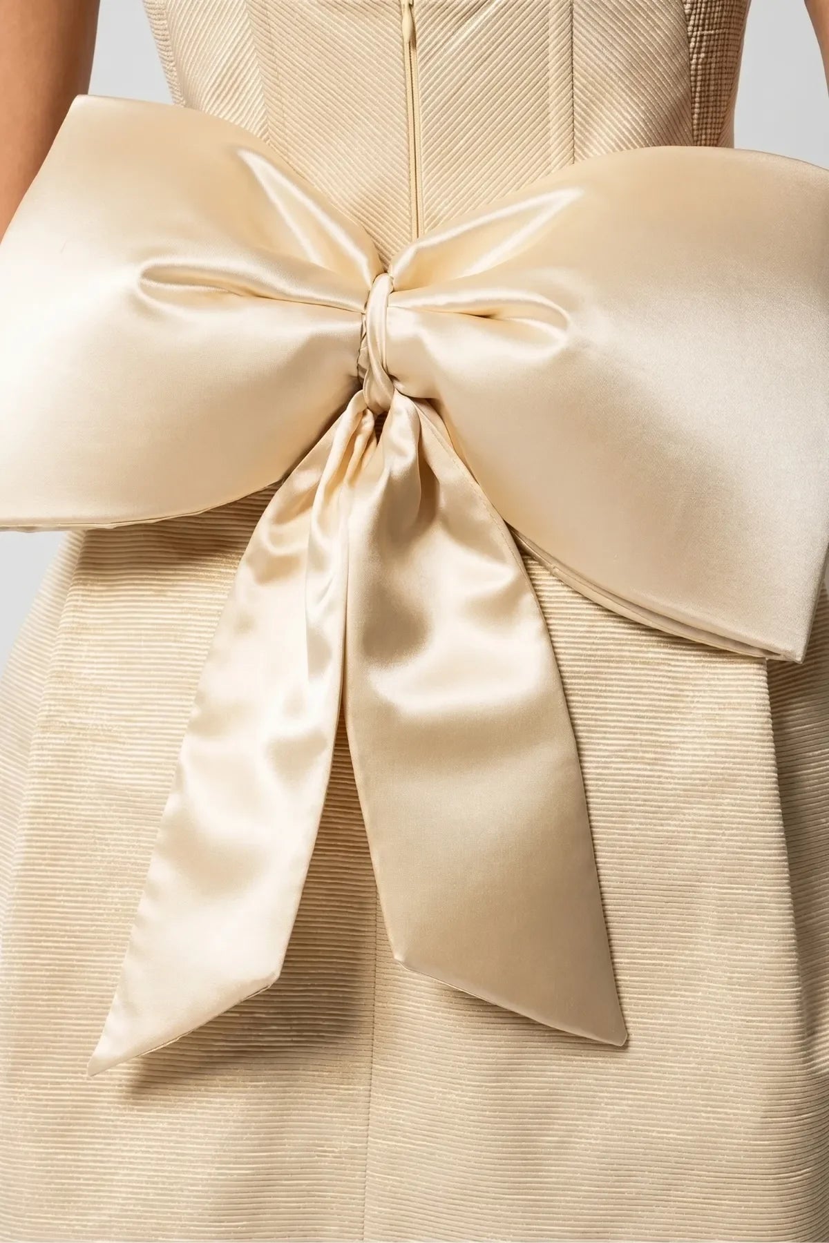 Close detail of Melisa beige mini dress showing the oversized back bow and center zipper.