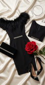 Flat-lay of the dress with feather collar attached, styled with crystal jewelry, black clutch, suede pumps, and a red rose.